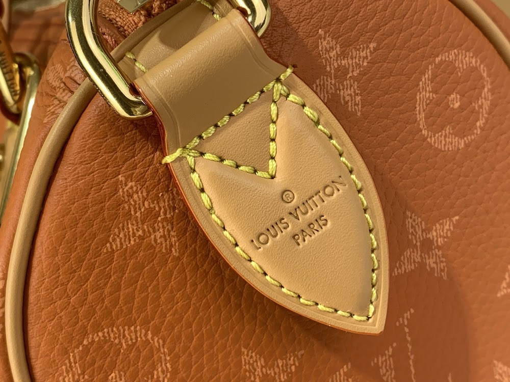 Dragons Bags ln Luxury Bag --63088