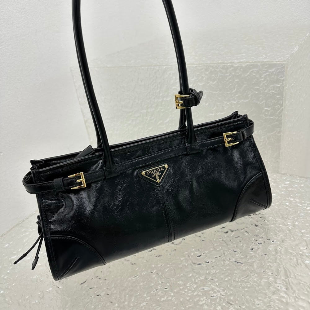 Dragons Bags Pradn Luxury Bag --102002