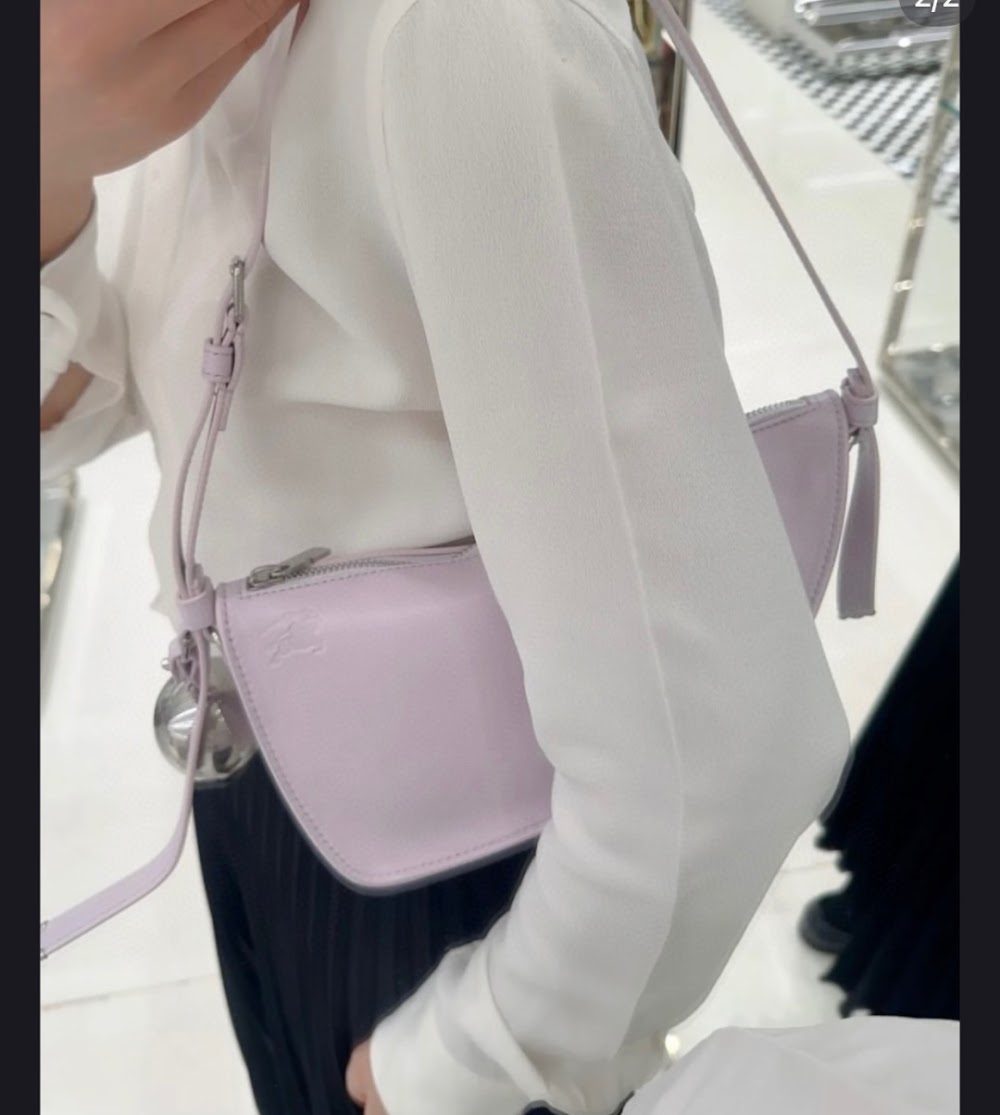 Dragons Bags Burberryn Luxury Bag --93058