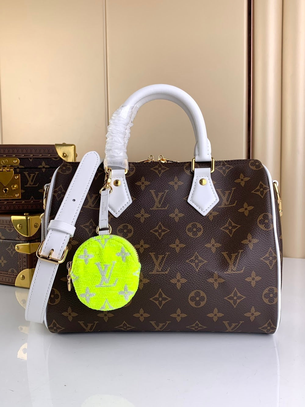 Dragons Bags ln Luxury Bag --67600