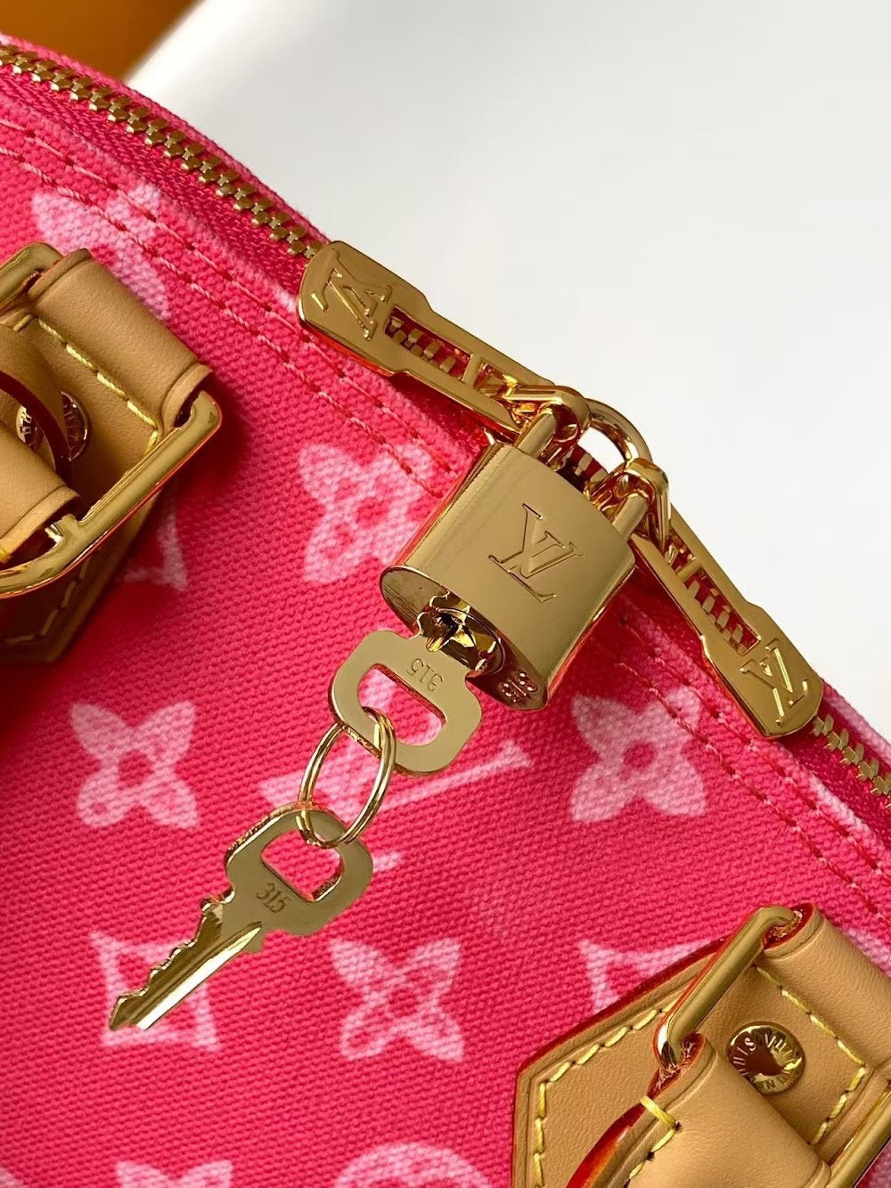 Dragons Bags LVn Luxury Bag --80558