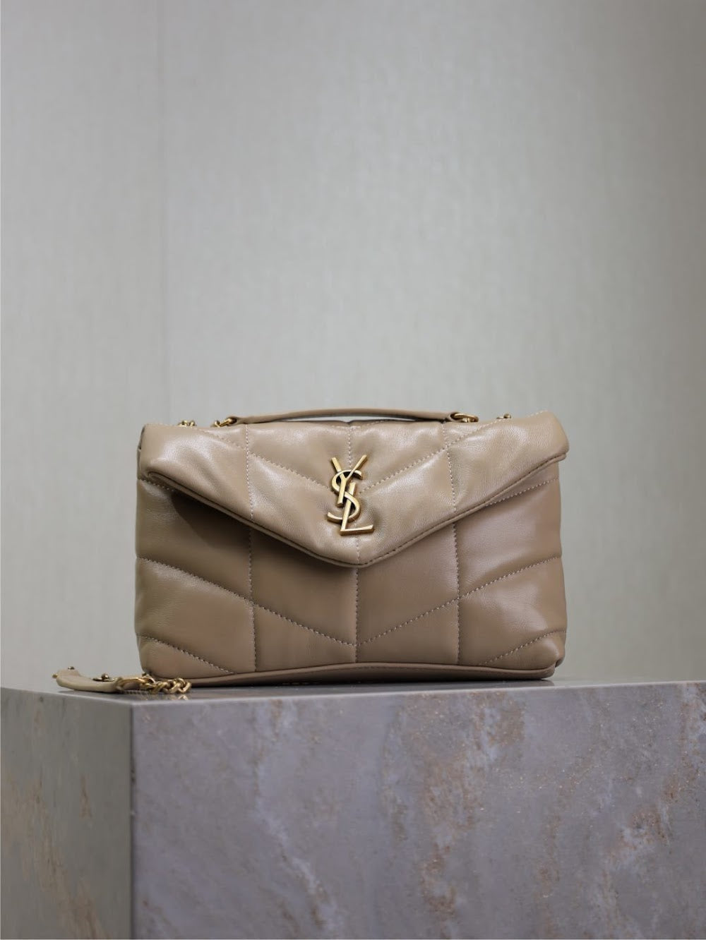 Dragons Bags YSLn Luxury Bag --119431