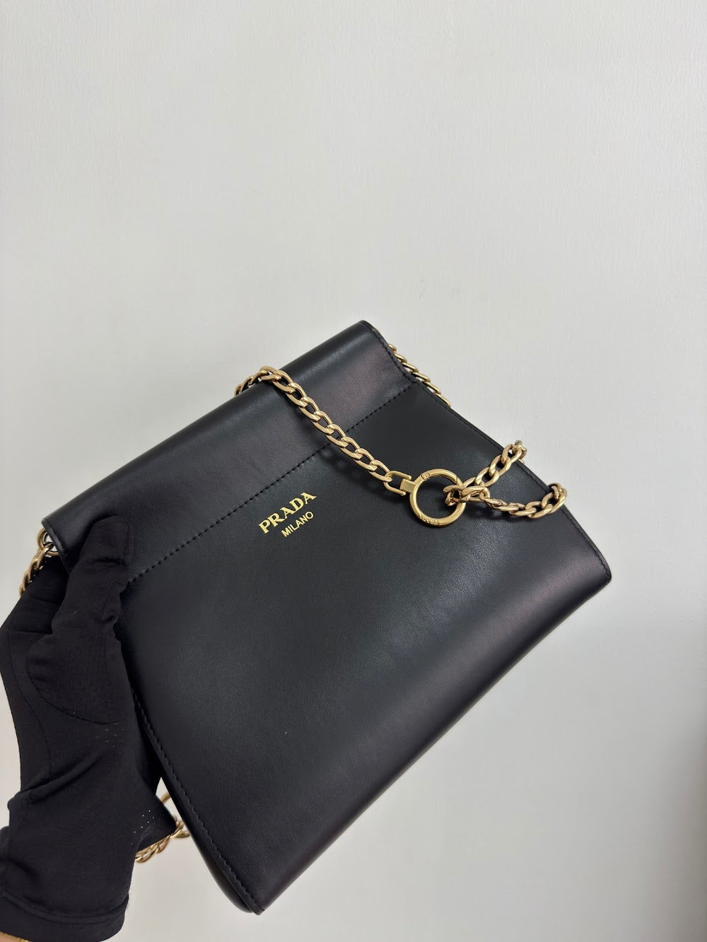 Dragons Bags Pradn Luxury Bag --101480