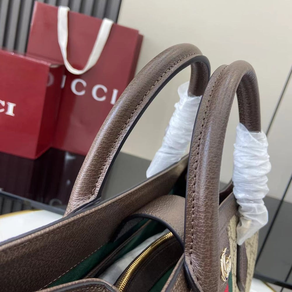 Dragons Bags Guccin Luxury Bag --94671