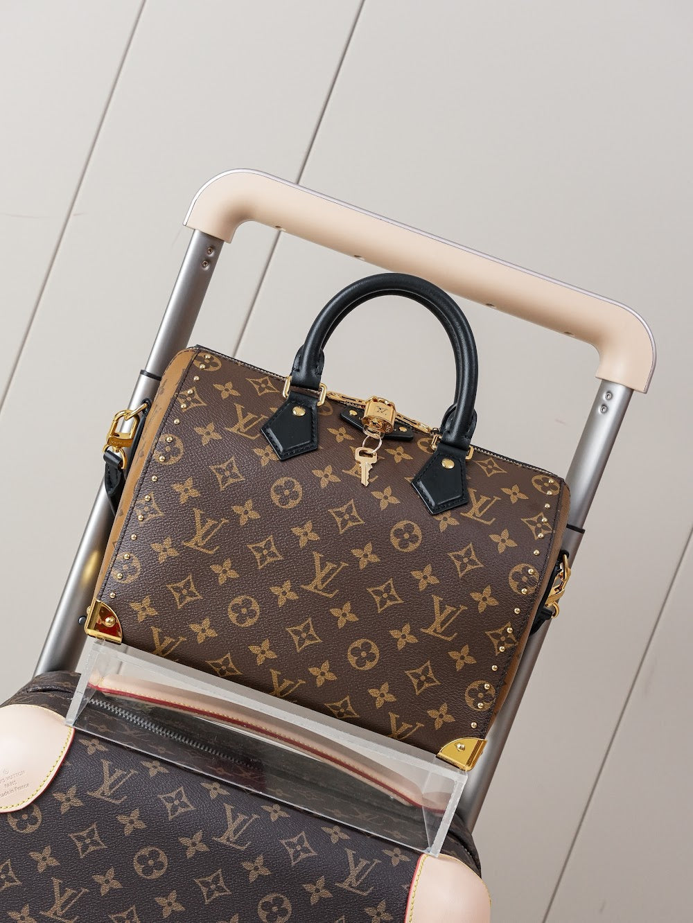 Dragons Bags LVn Luxury Bag --80203