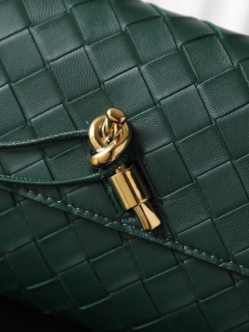 Dragons Bags Bottegan Luxury Bag --91388