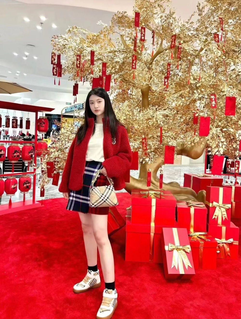 Dragons Bags Burberryn Luxury Bag --93087