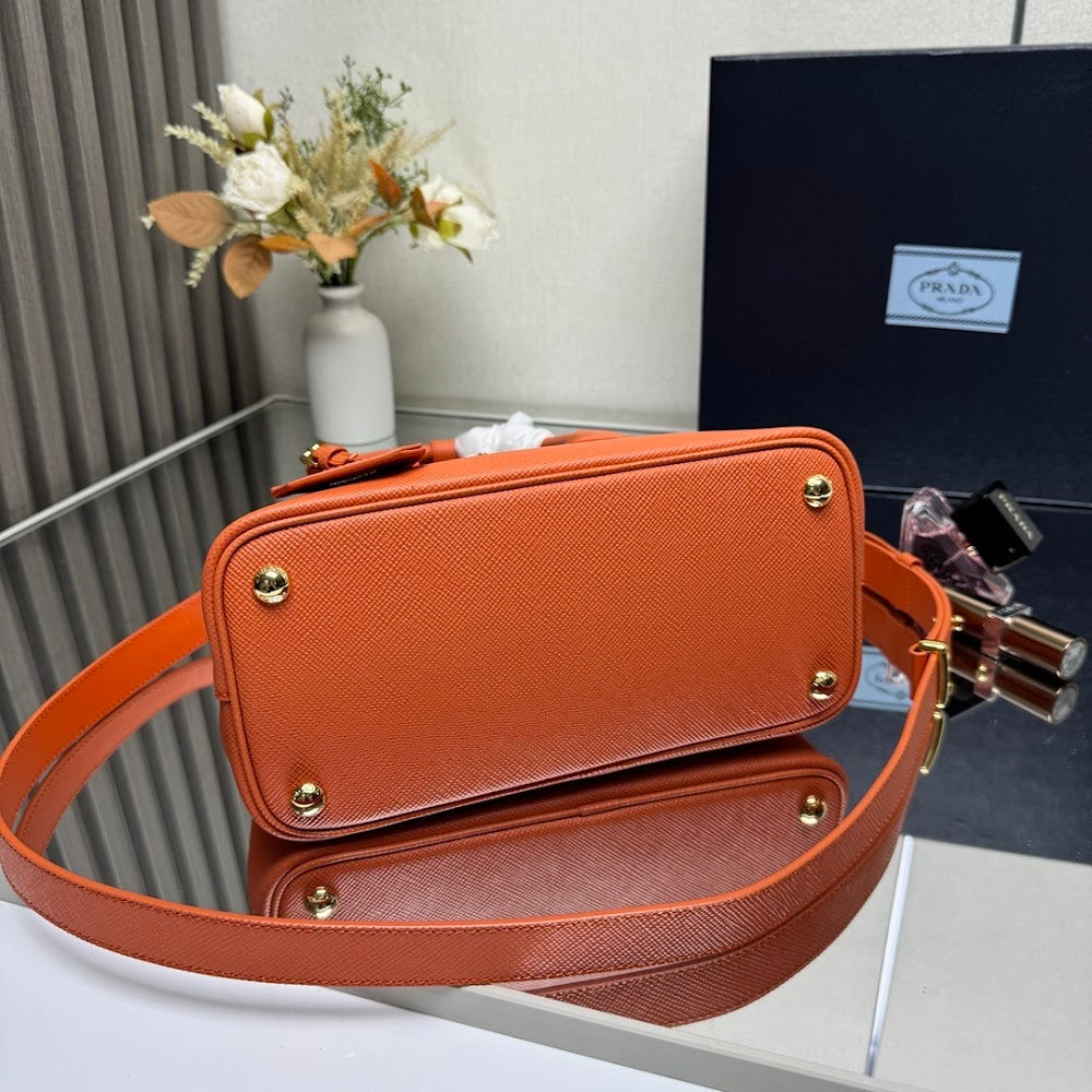 Dragons Bags Pradn Luxury Bag --102319