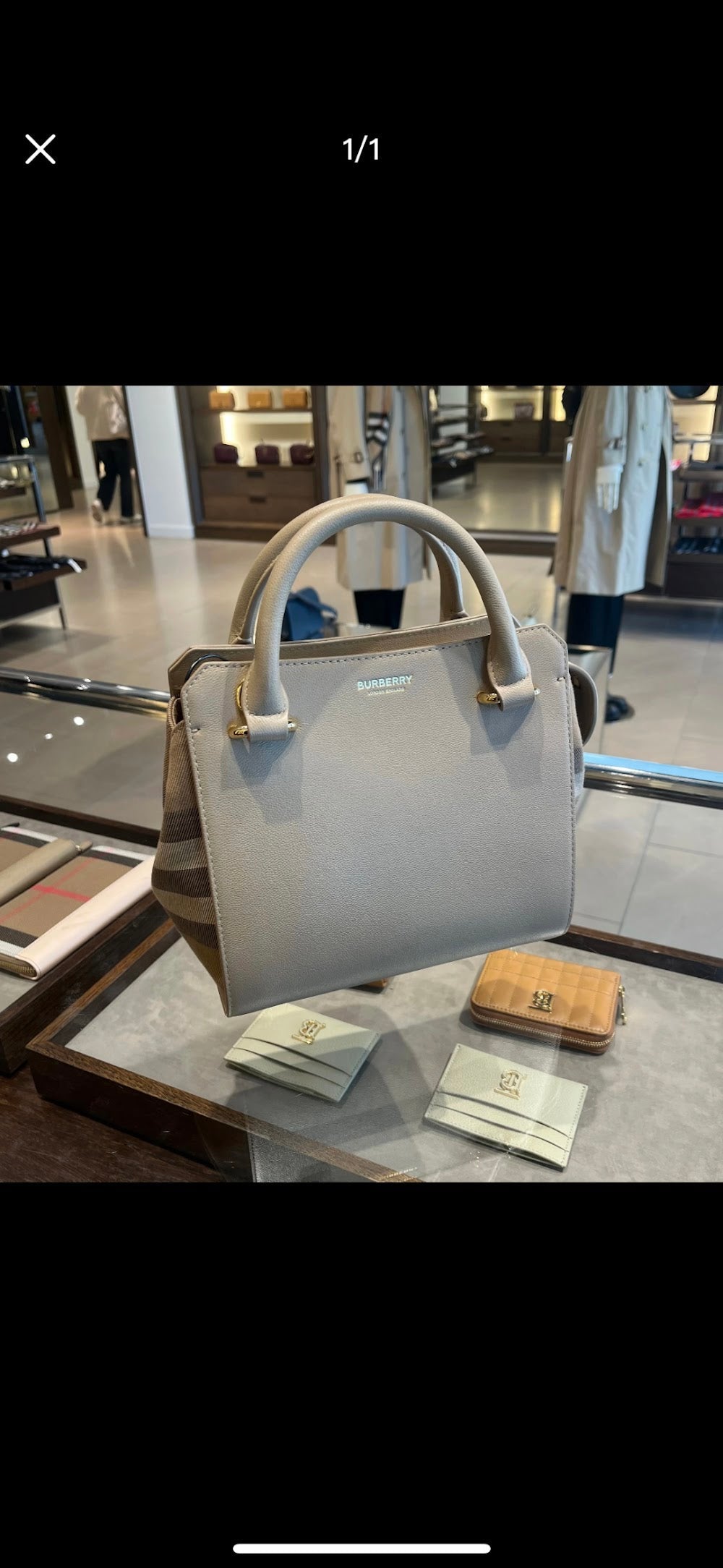 Dragons Bags Burberryn Luxury Bag --92037