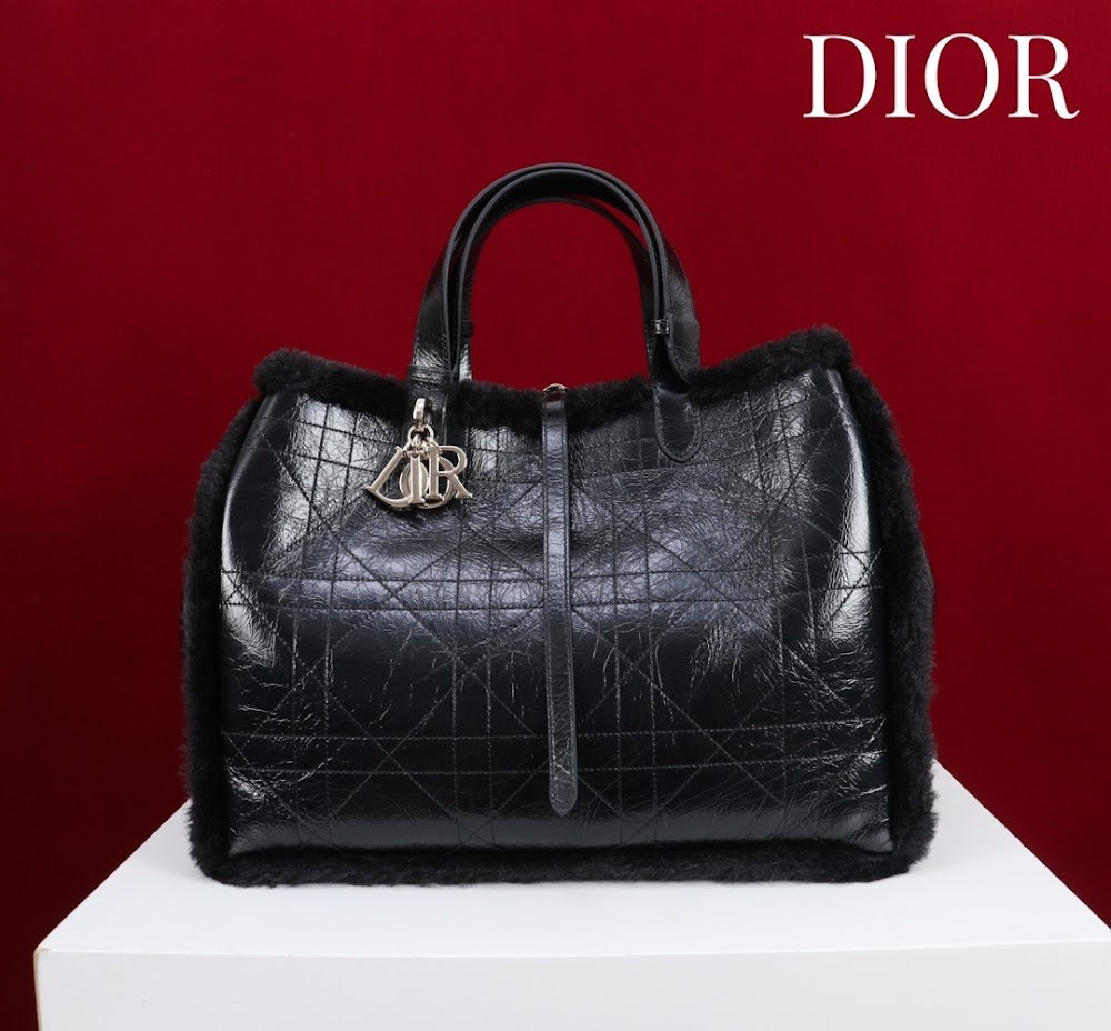 Dragons BagsDiorn Luxury Bag --116118