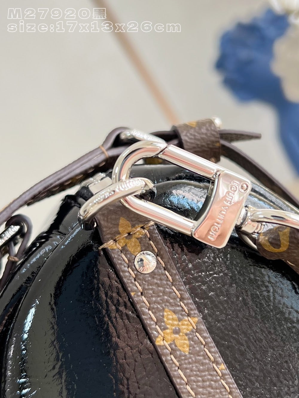 Dragons Bags ln Luxury Bag --95836