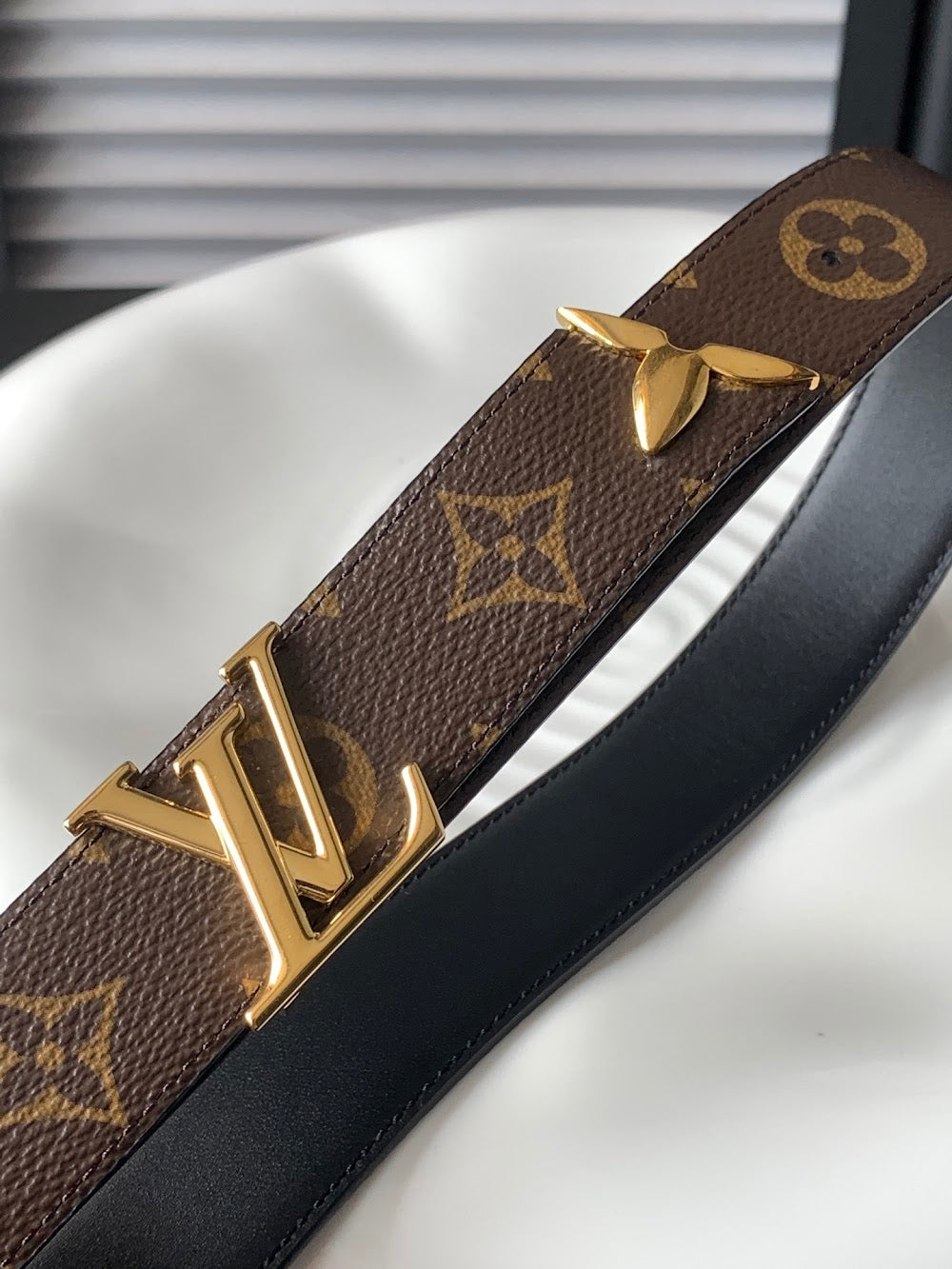 Dragons Bags ln Luxury Belt --110191