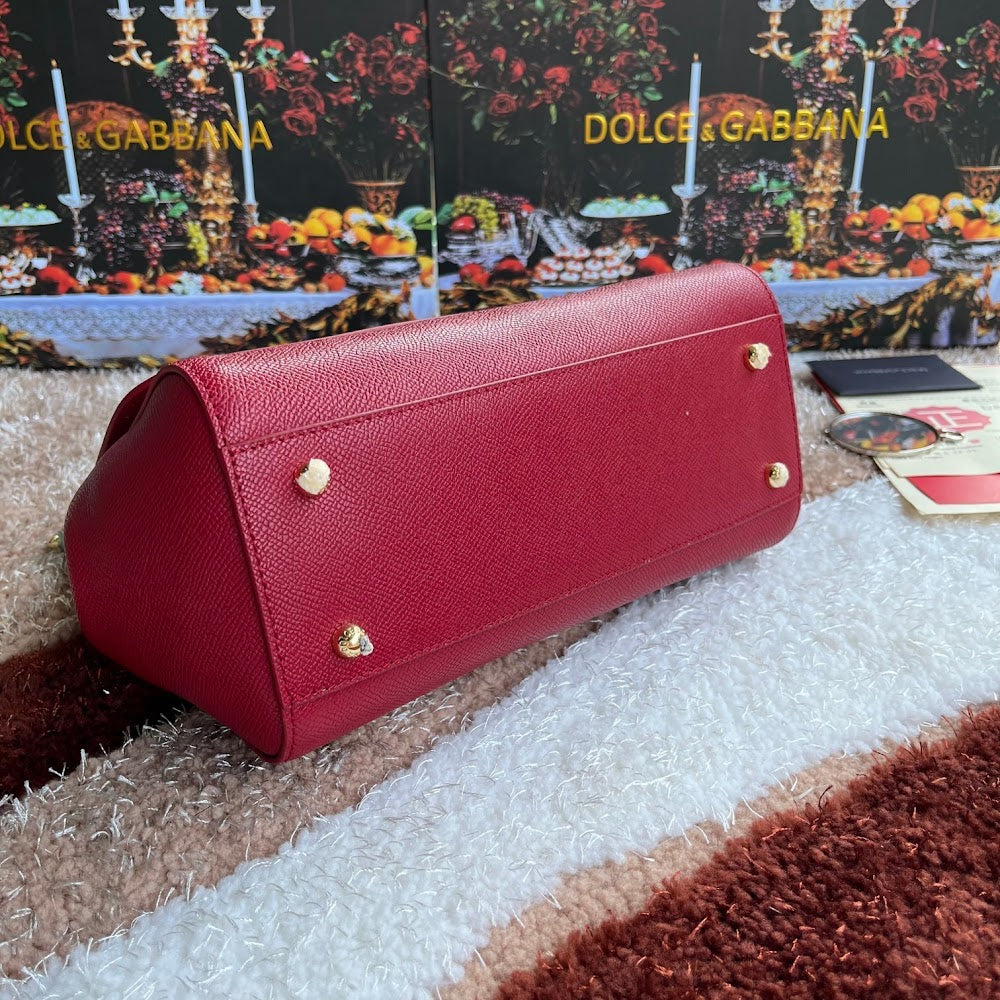 Dragons Bags DGn Luxury Bag --94111