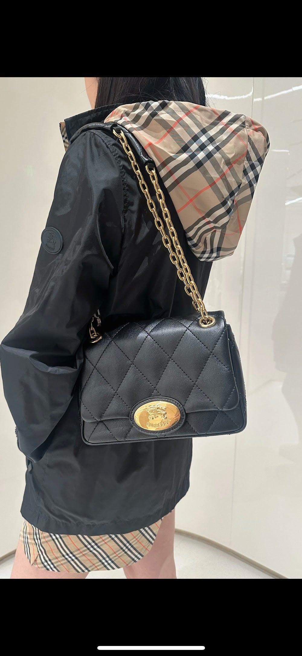 Dragons Bags Burberryn Luxury Bag --92304