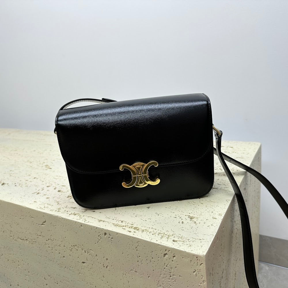 Dragons Bags Celine Luxury Bag --112463