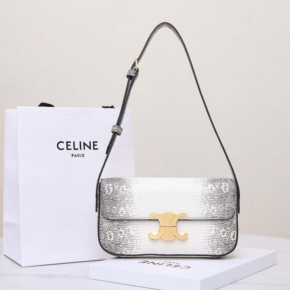 Dragons Bags Celine Luxury Bag --112152