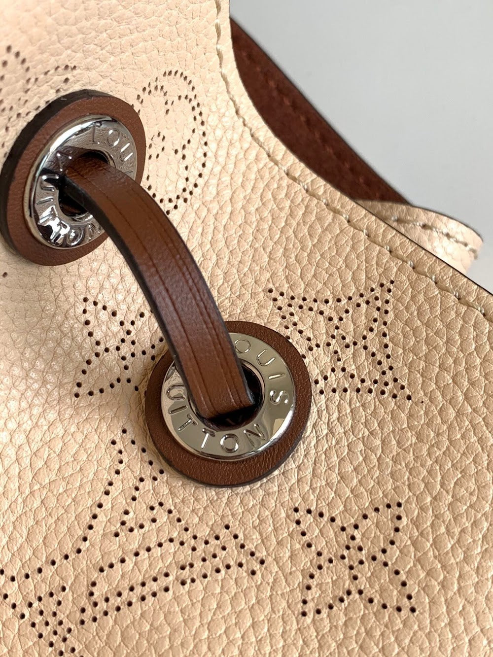 Dragons Bags ln Luxury Bag --59035