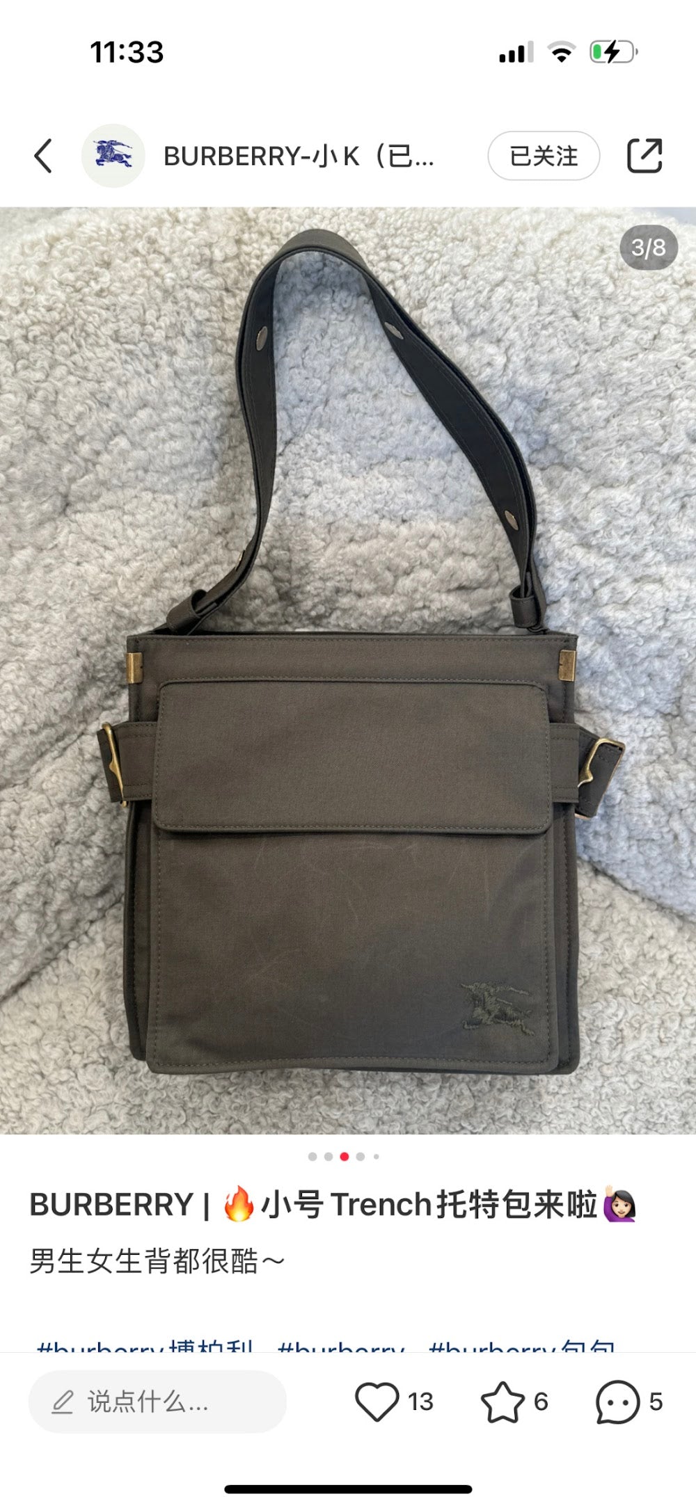 Dragons Bags Burberryn Luxury Bag --93093