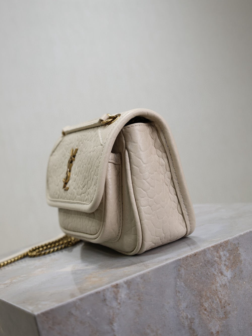 Dragons Bags YSLn Luxury Bag --119698