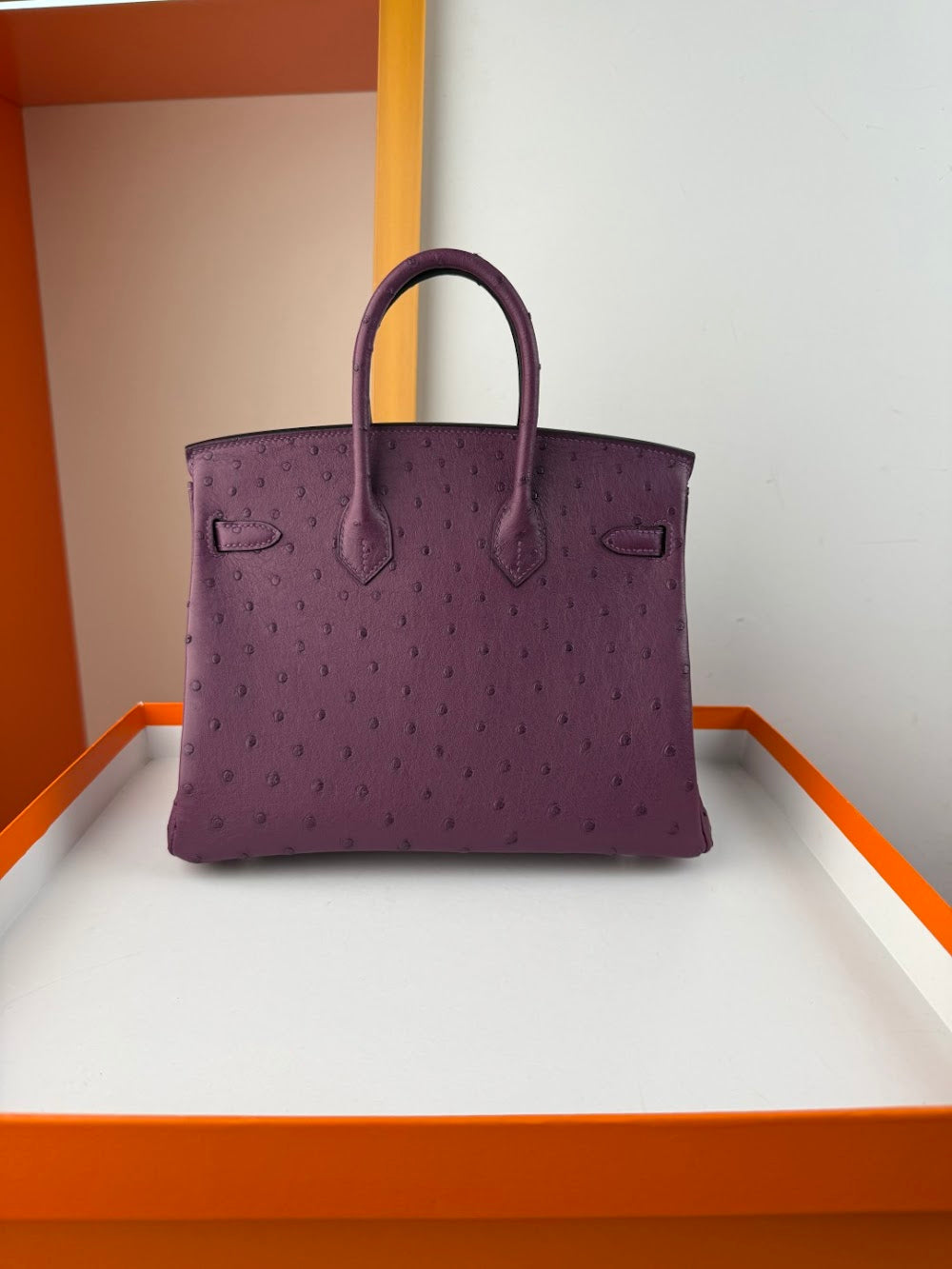 Dragons BagsHermesn Luxury Bag --116760
