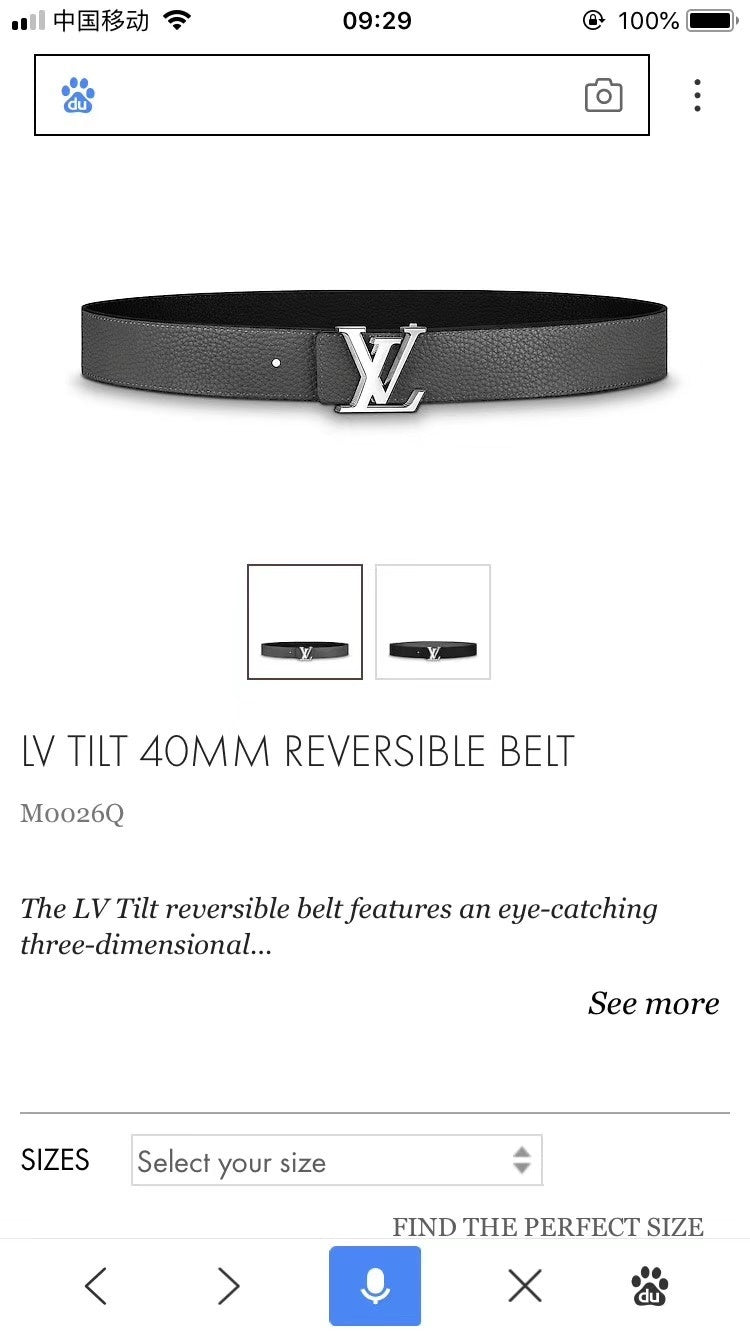 Dragons Bags ln Luxury Belt --109396
