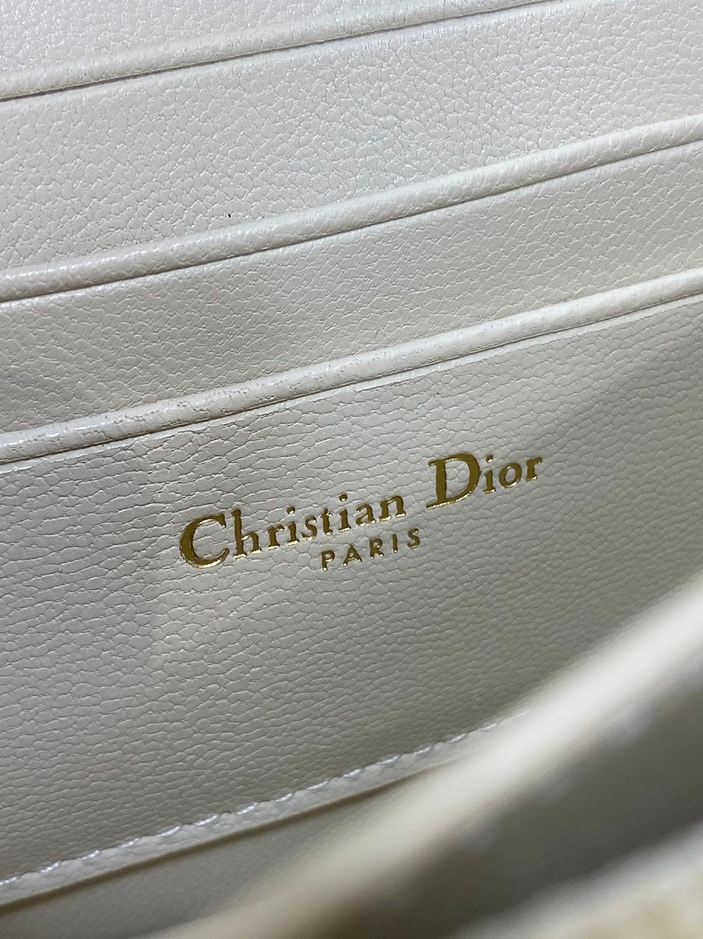 Dragons BagsDiorn Luxury Bag --115047