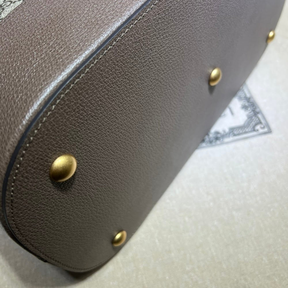 Dragons Bags Guccin Luxury Bag --94743
