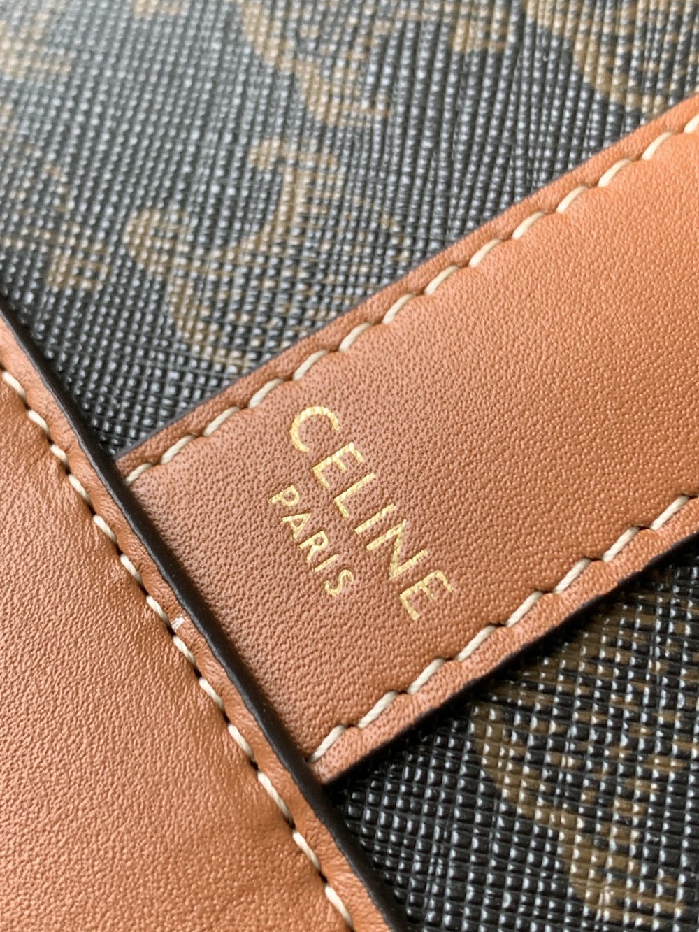 Dragons Bags Celine Luxury Bag --112578