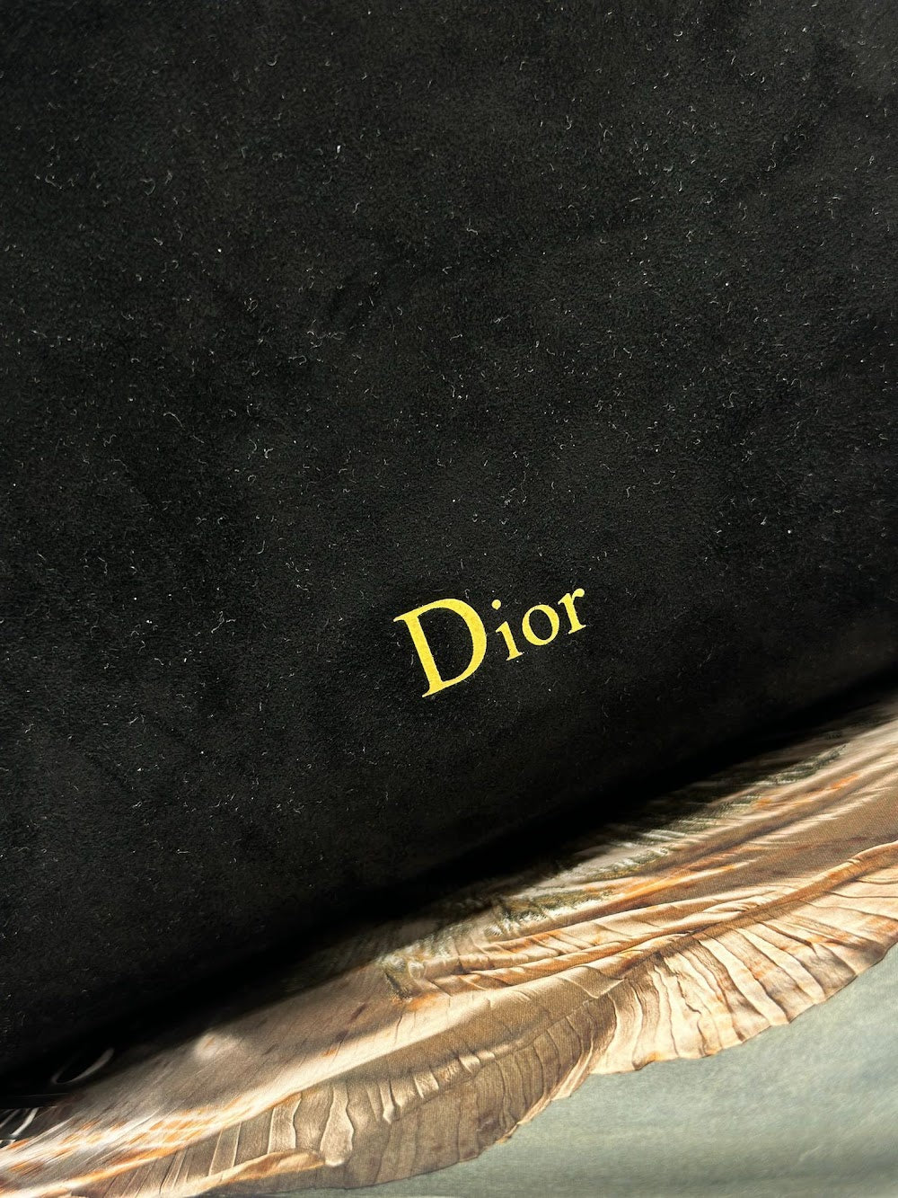 Dragons BagsDiorn Luxury Bag --115520