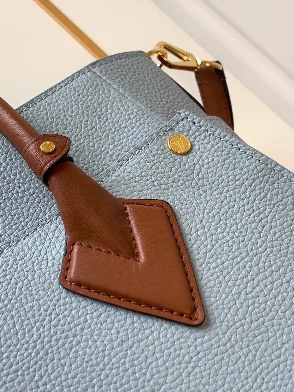 Dragons Bags ln Luxury Bag --66889