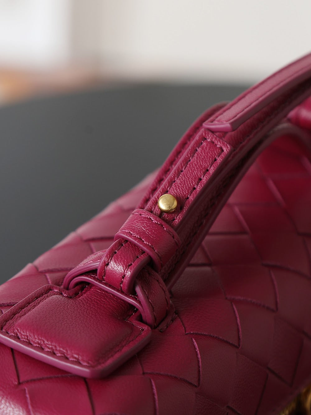 Dragons Bags Bottegan Luxury Bag --91362