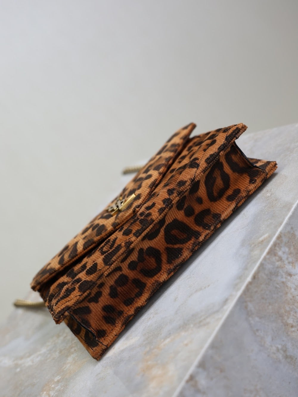 Dragons Bags YSLn Luxury Bag --119648