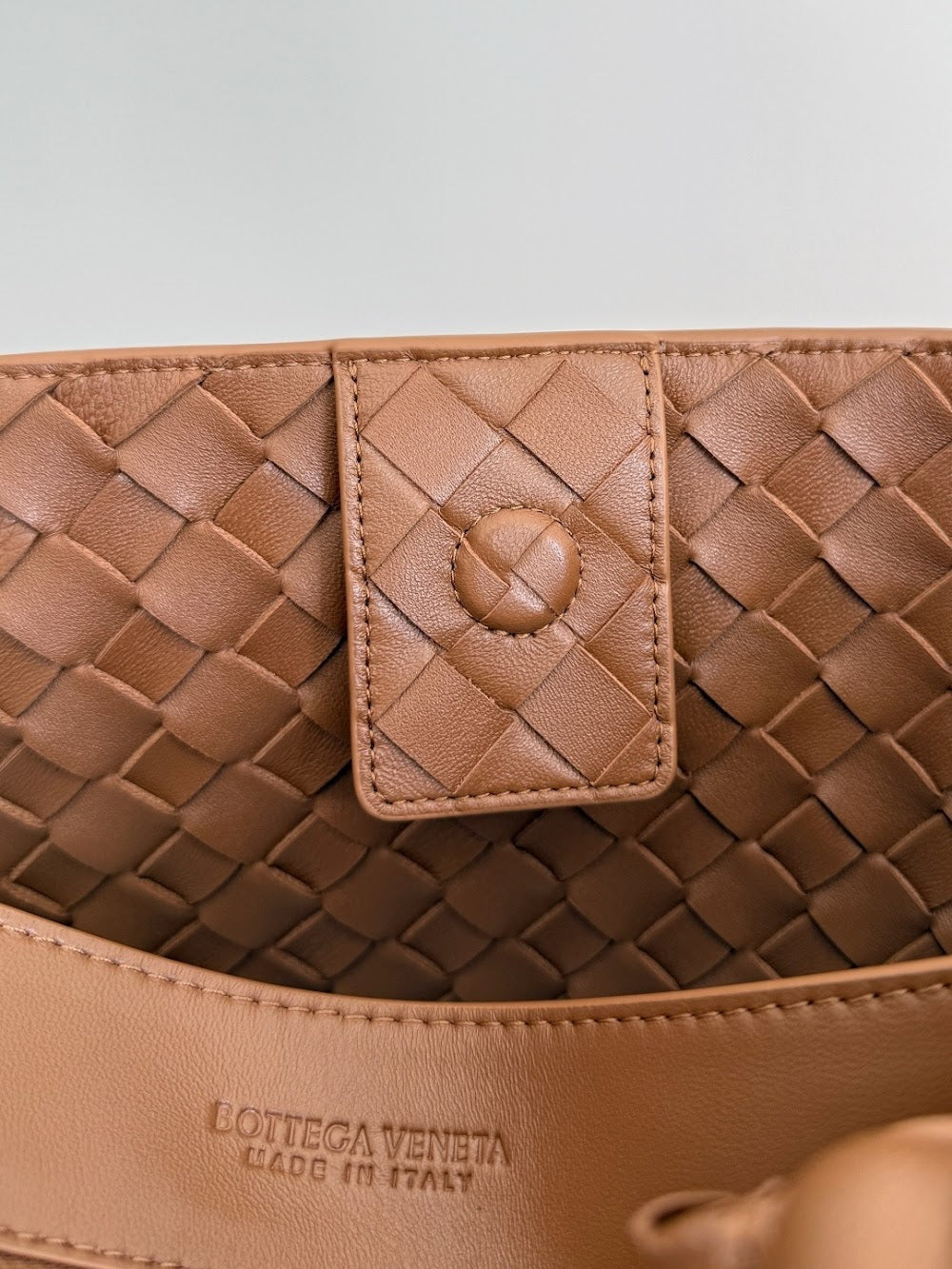 Dragons Bags Bottegan Luxury Bag --90658