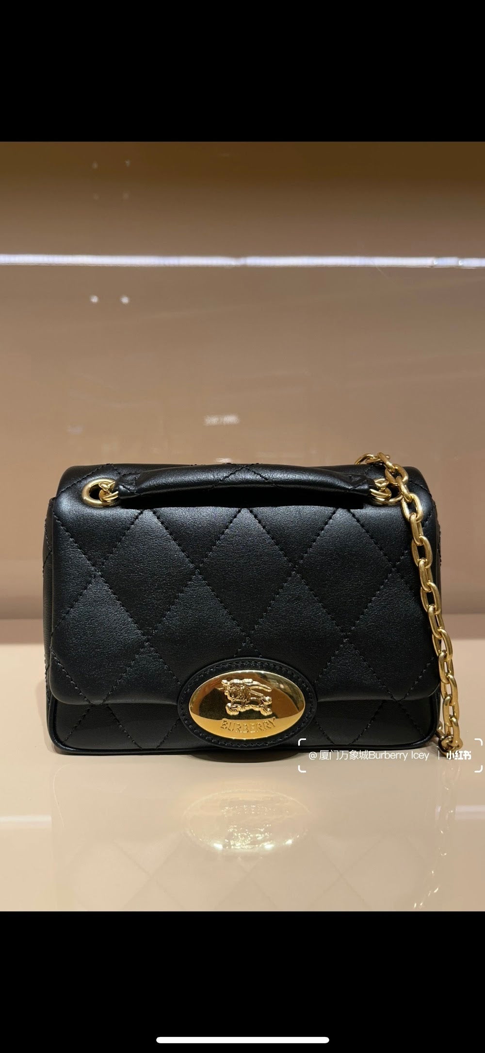 Dragons Bags Burberryn Luxury Bag --92304