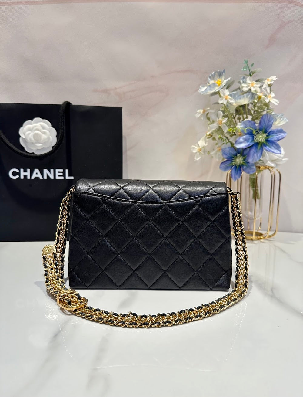 Dragons BagsCHn Luxury Bag --114113