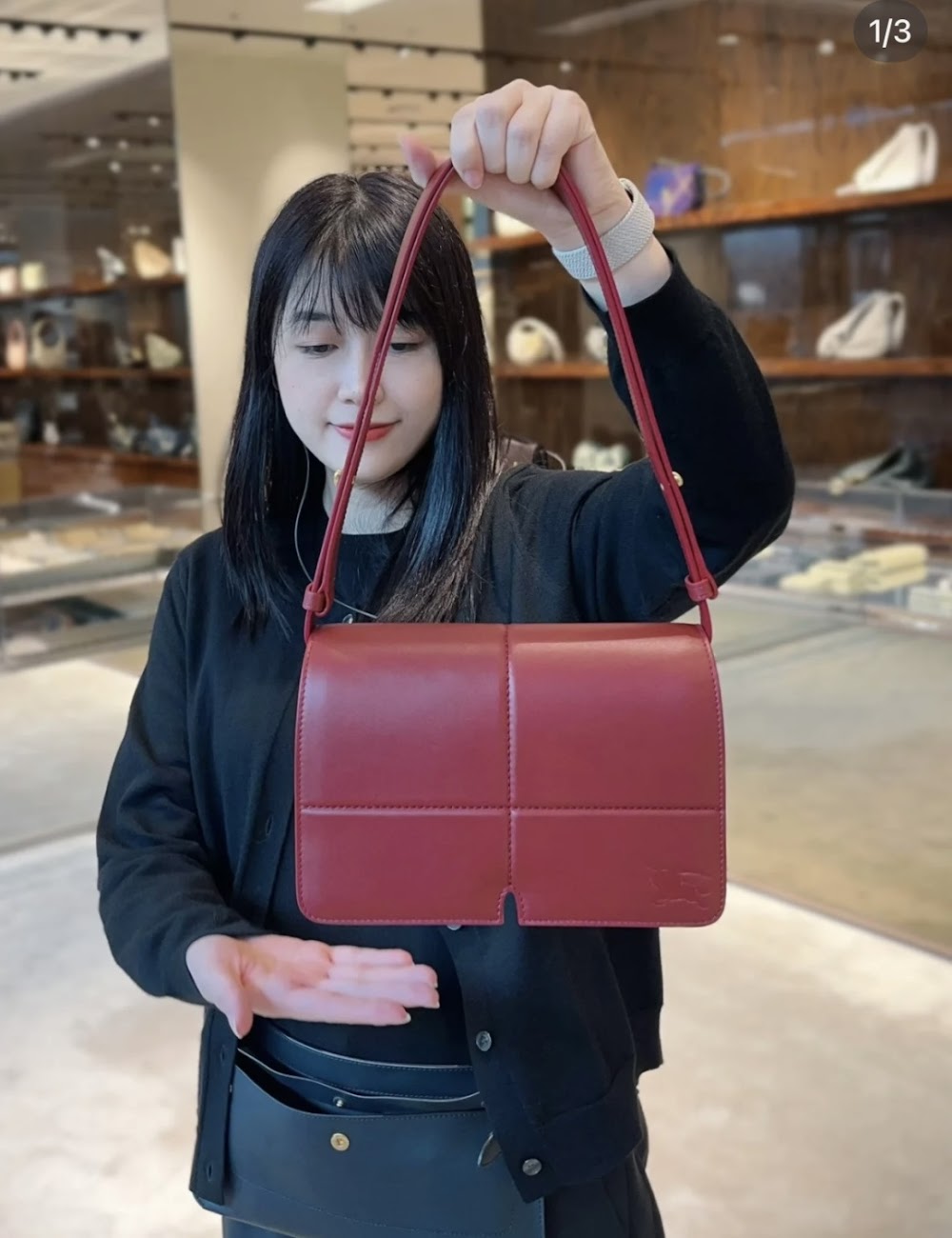 Dragons Bags Burberryn Luxury Bag --92959