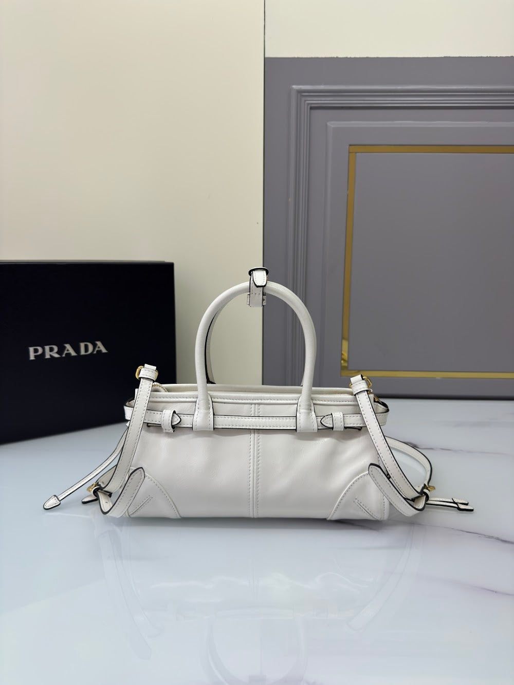 Dragons Bags Pradn Luxury Bag --102479