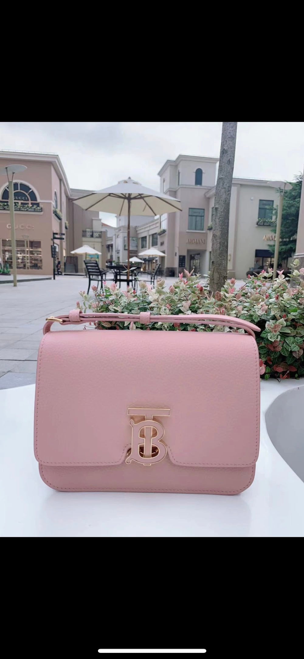 Dragons Bags Burberryn Luxury Bag --91648