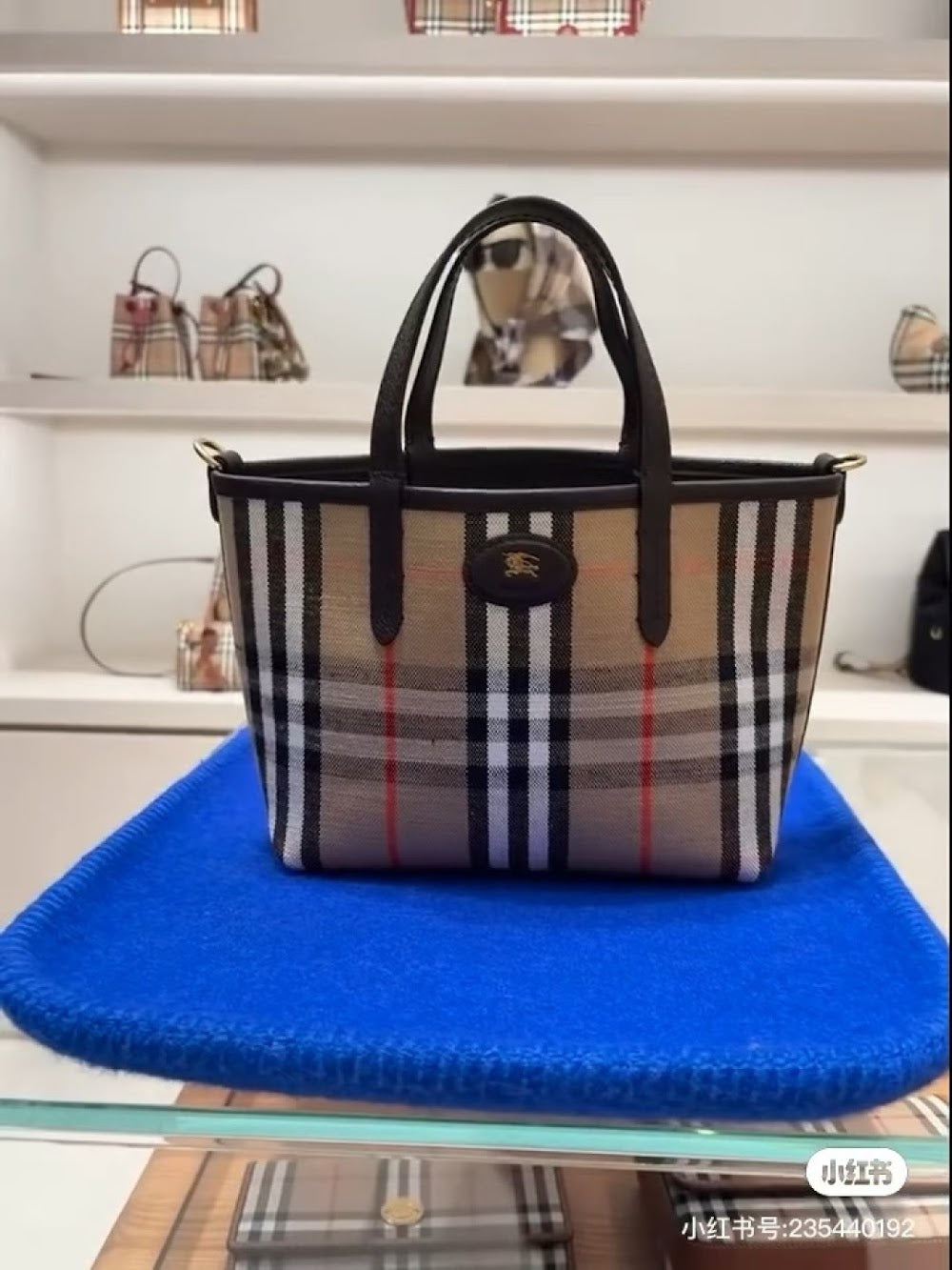 Dragons Bags Burberryn Luxury Bag --92954