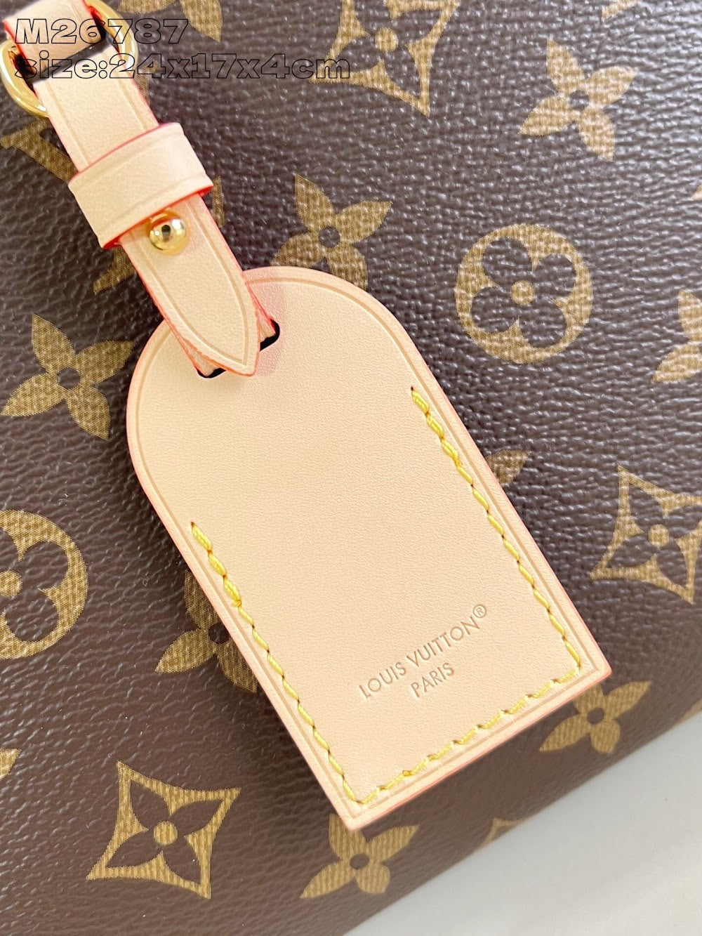 Dragons Bags ln Luxury Bag --95740