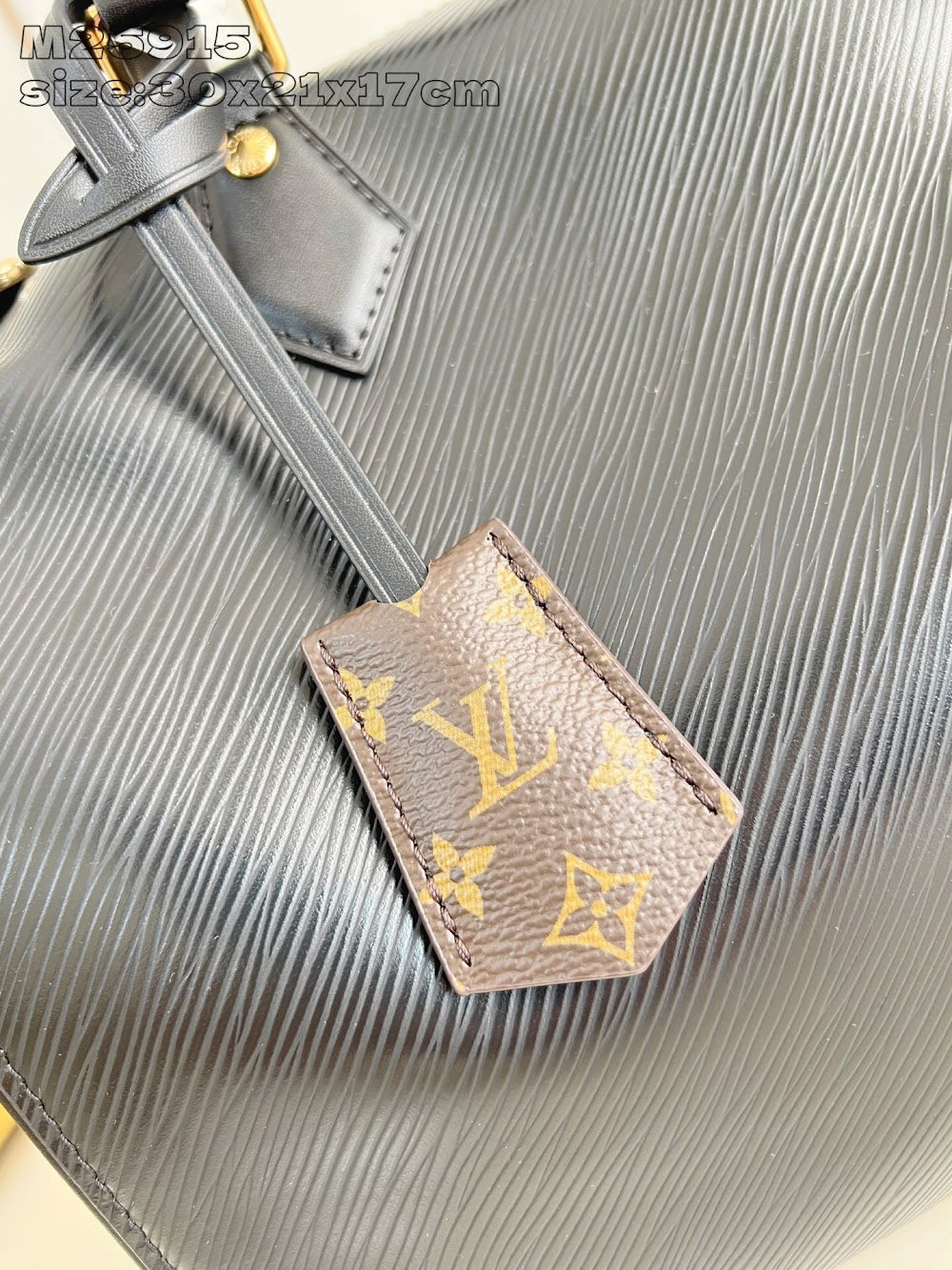 Dragons Bags ln Luxury Bag --95669