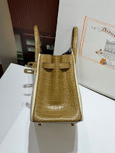 new-luxury-designer-bags-nm9207