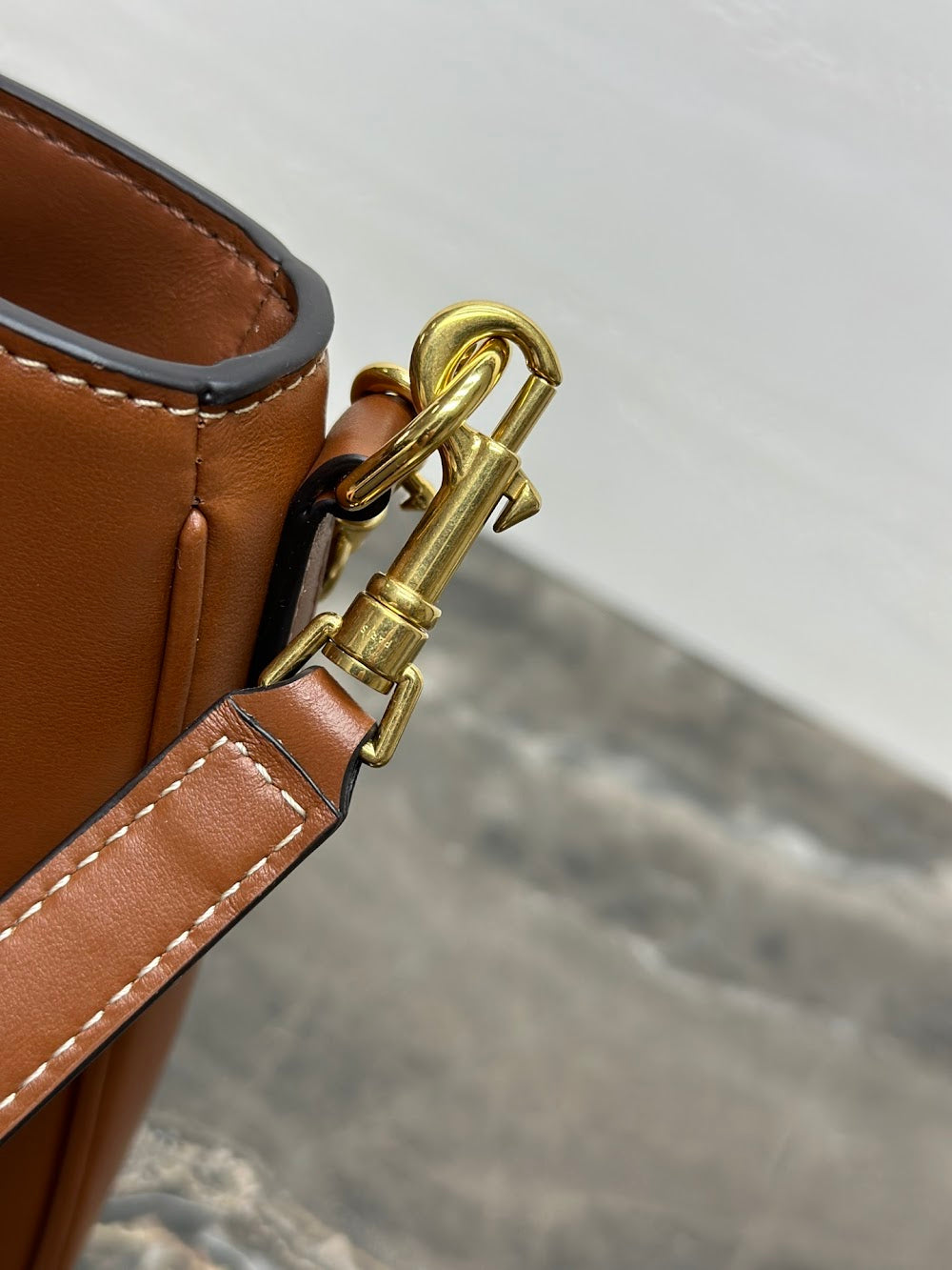 Dragons Bags Celine Luxury Bag --112550