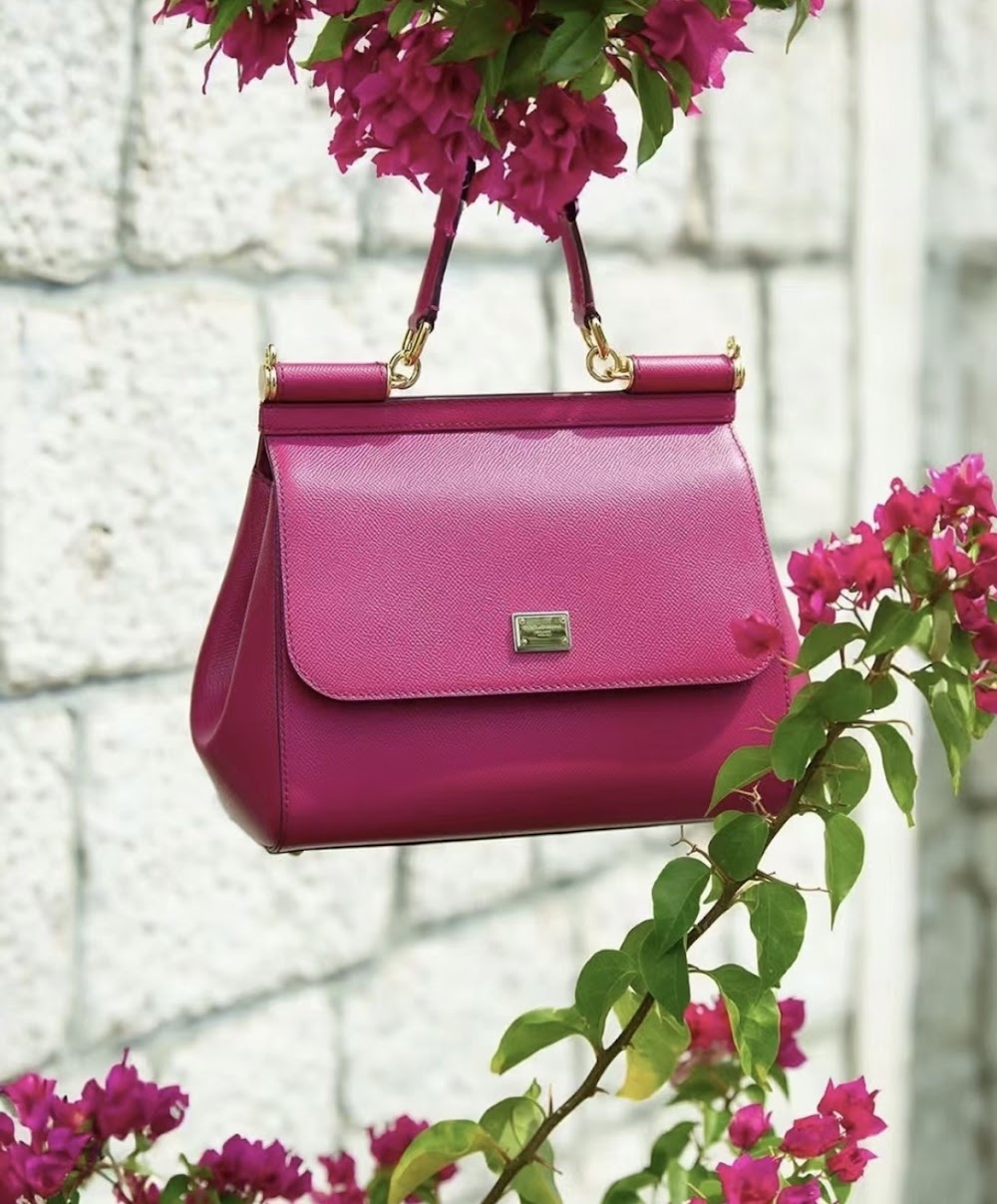Dragons Bags DGn Luxury Bag --93630