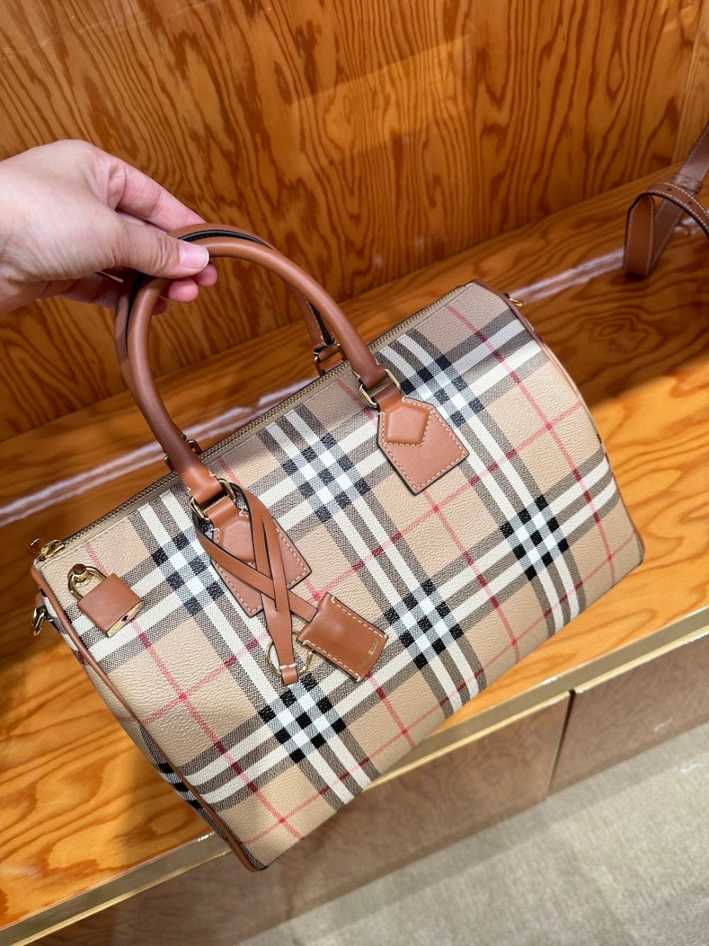 Dragons Bags Burberryn Luxury Bag --92137