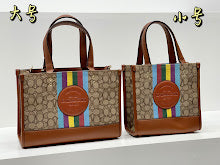 new-elite-designer-bags-nm6450