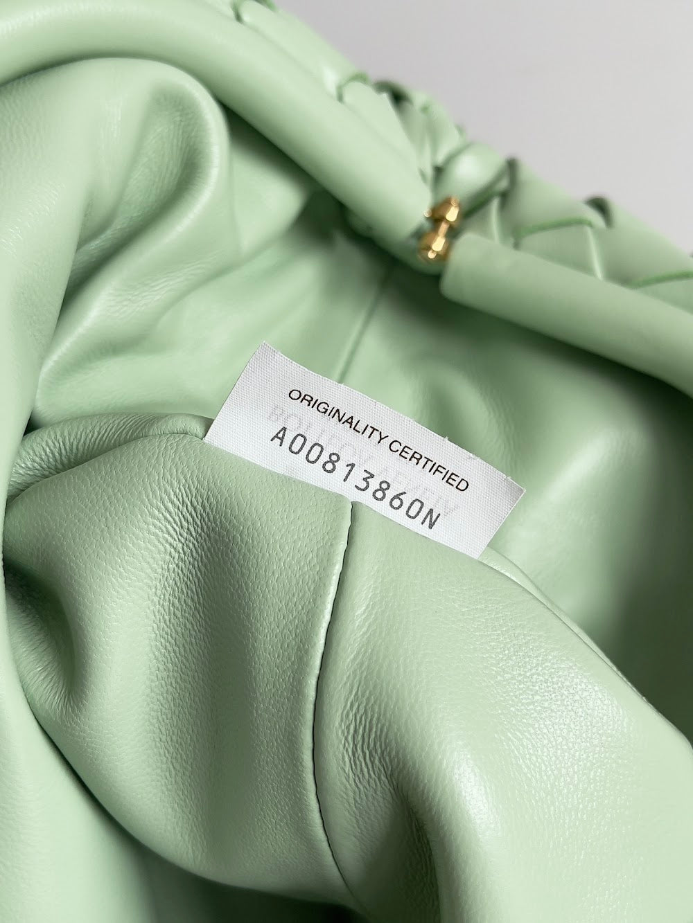 Dragons Bags Bottegan Luxury Bag --91221