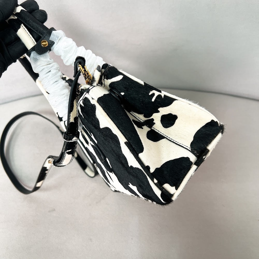Dragons Bags Pradn Luxury Bag --102735