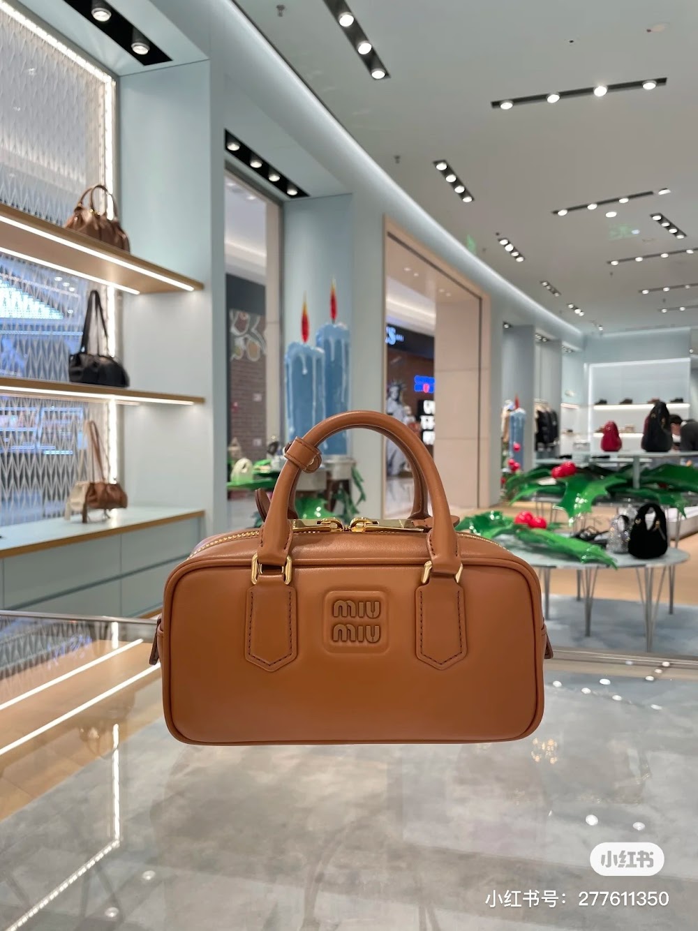 Dragons Bags Miun Miun Luxury Bag --122881