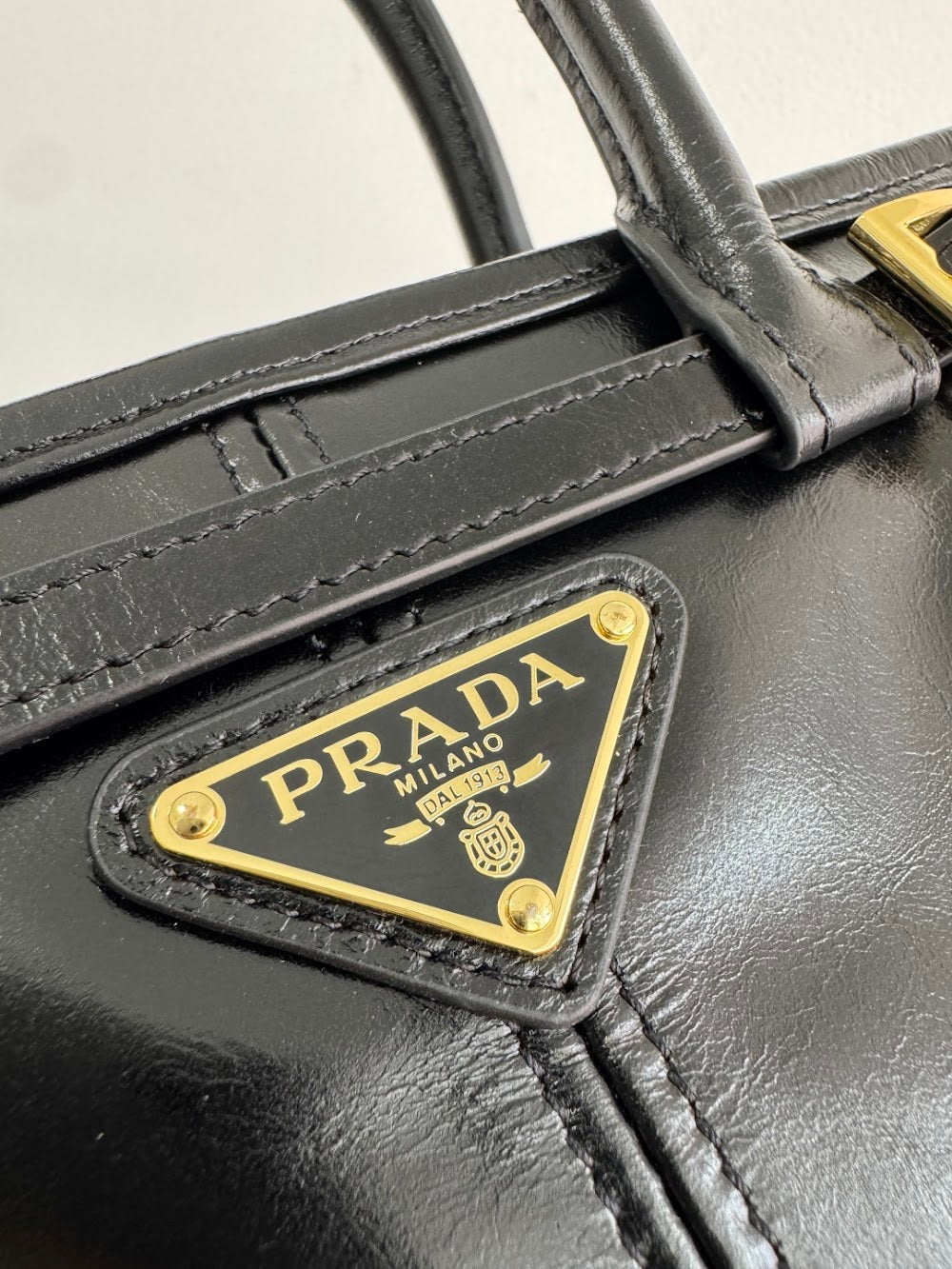 Dragons Bags Pradn Luxury Bag --102487
